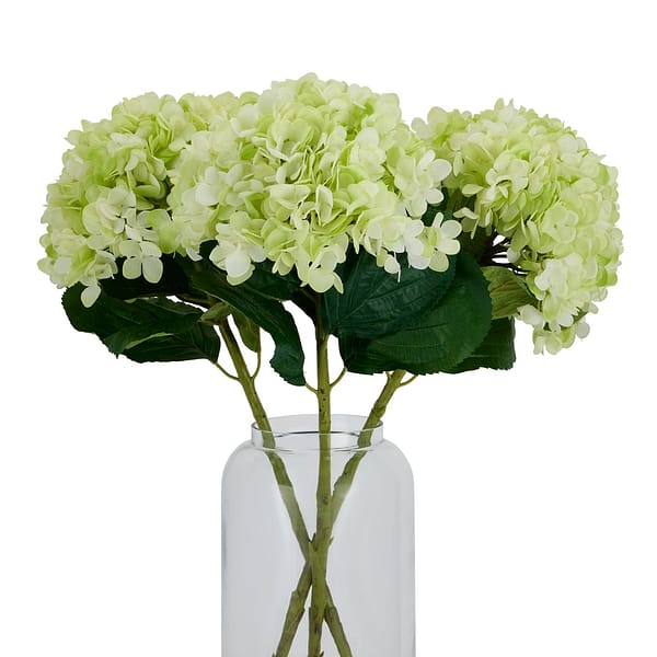 Oversized Green Hydrangea 22730 d