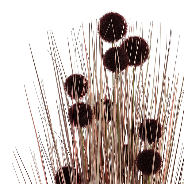 Large Burgundy Pompom Alliums In Black Pot 22751 a