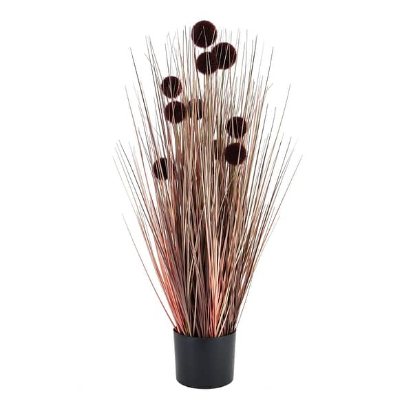 Large Burgundy Pompom Alliums In Black Pot 22751