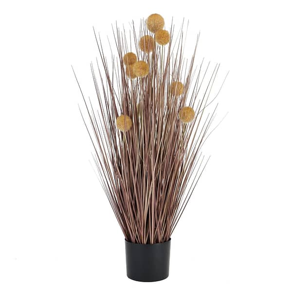 Large Coffee Pompom Alliums In Black Pot 22754