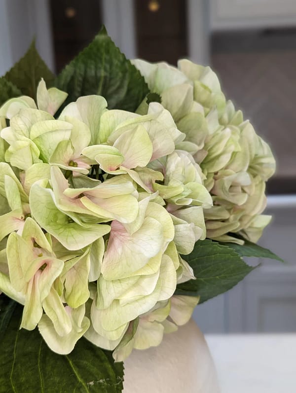 Shabby Green Hydrangea Bouquet