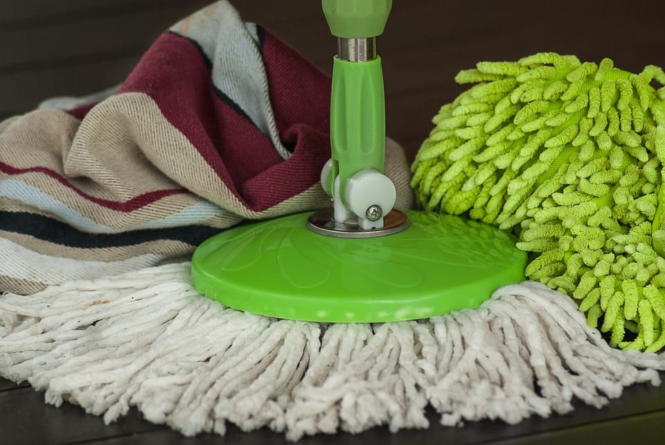 Revitalize Your Outdoor Space: Moss Removal Services in Bristol