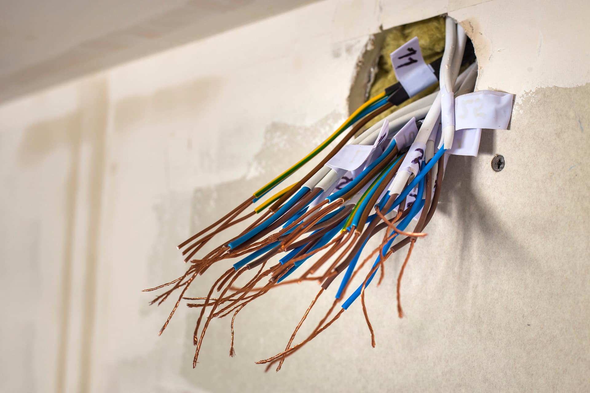 Electrical exposed connected wires protruding from socket on whi