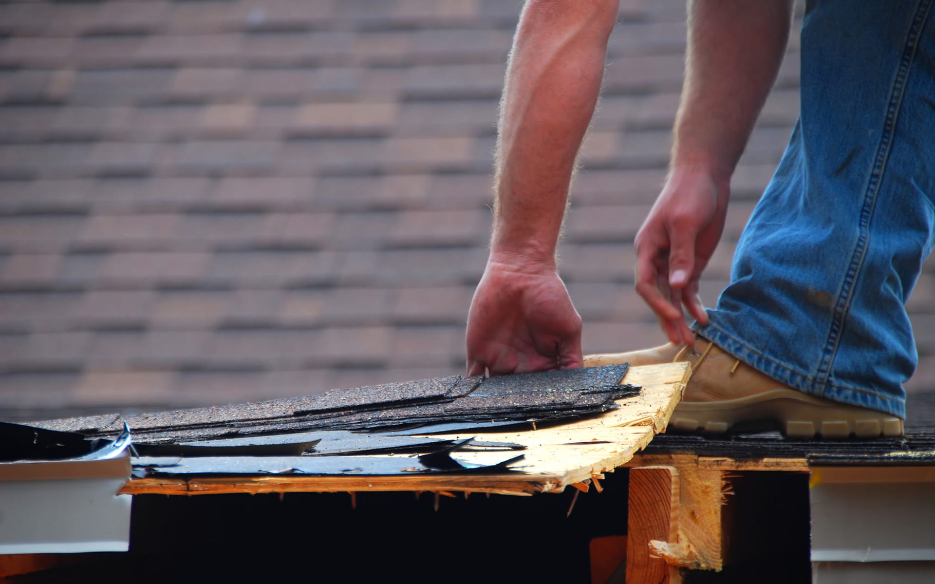 construction-worker-on-roof-1879109