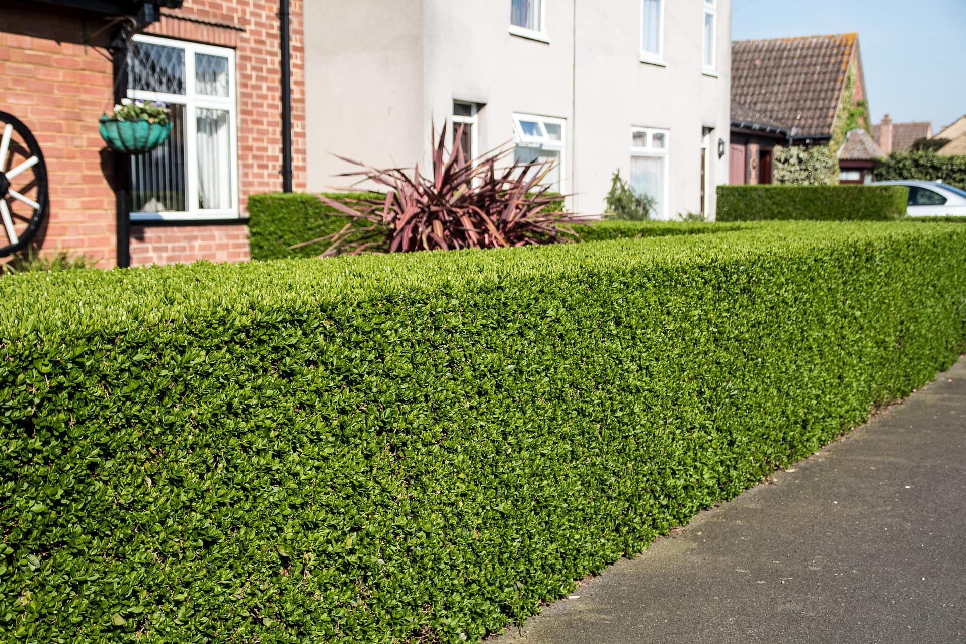 Premium Driveways in Cheshire: Enhance Your Home's Curb Appeal 2 Professional driveway installation