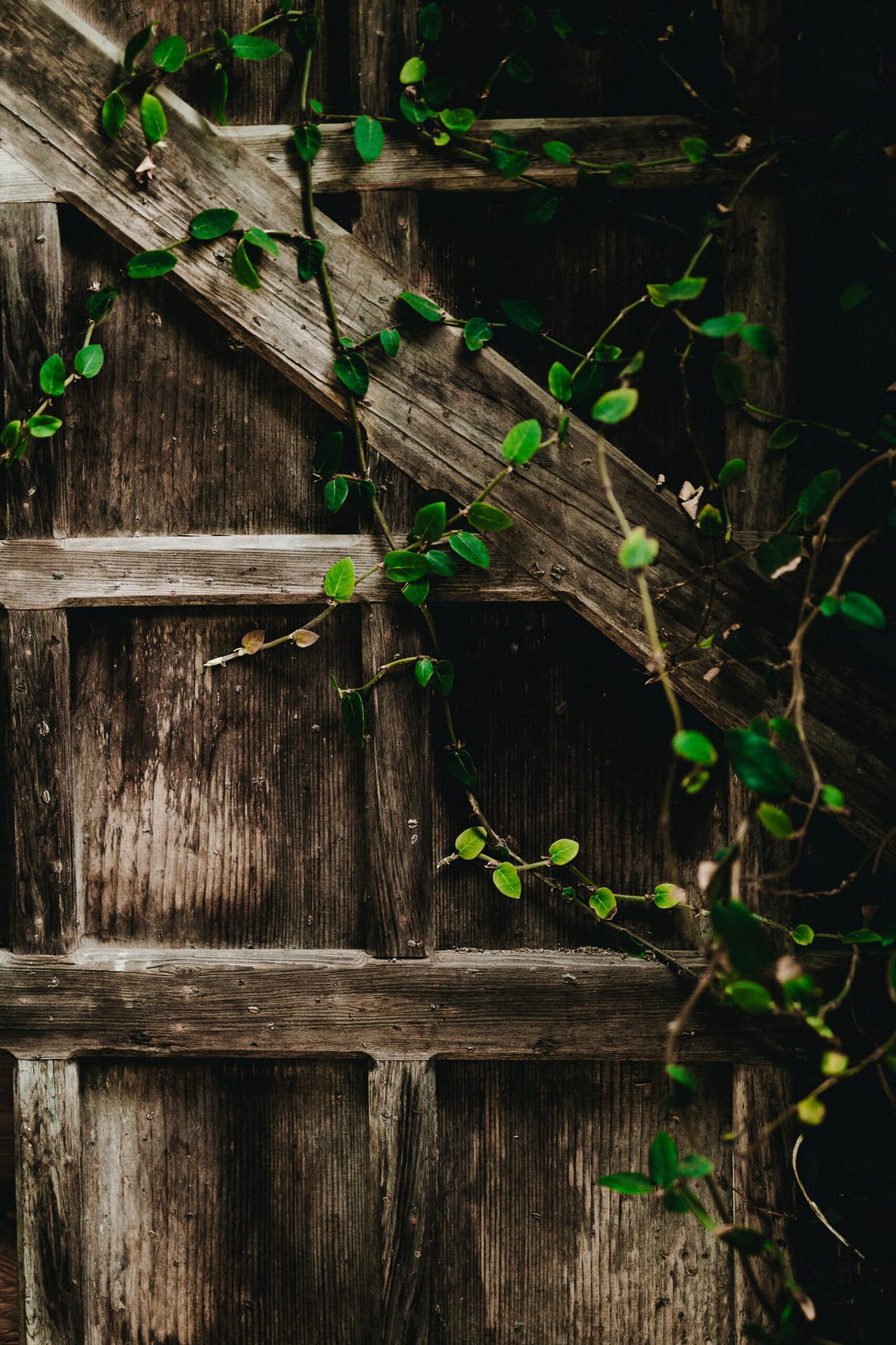 nathan-dumlao-505059-unsplash-1