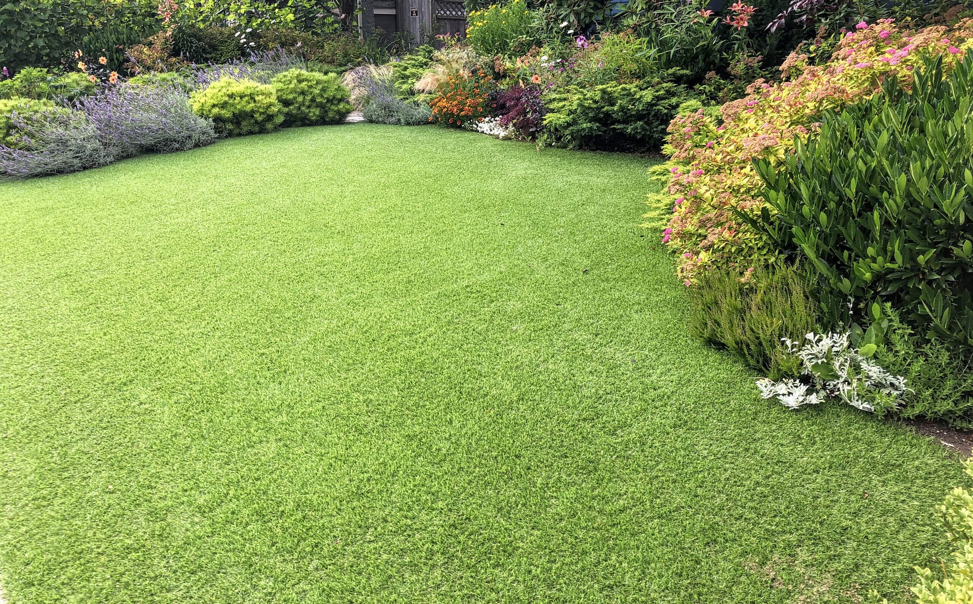 A beautiful artificial lawn in the front yard with nice flowers and shrubs surrounding it